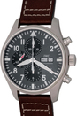 IWC  inventory number C46740 image