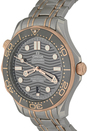 OMEGA  inventory number C51761 image